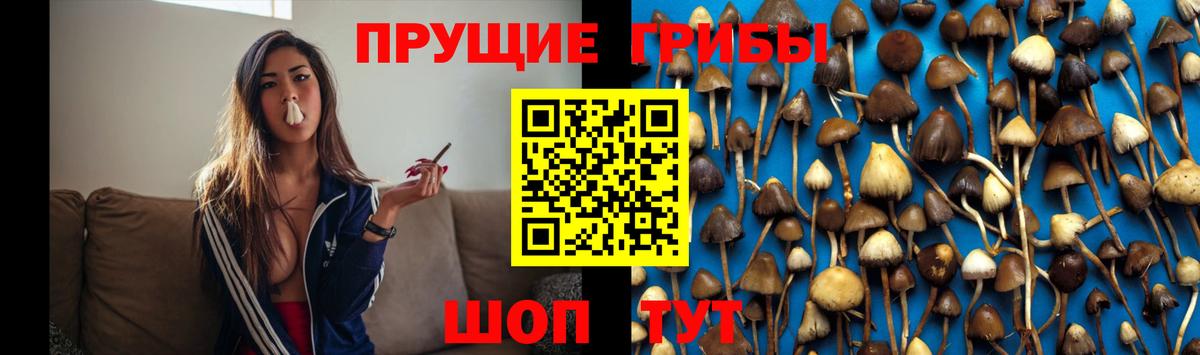 Ахтубинск  Псилоцибиновые грибы Cubensis  Вход с VPN 